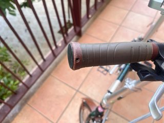 Bicicleta plegable D5 verde dahon
