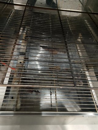 Calentador Industrial Carrinox