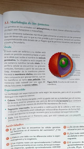 Biología, Geología y CC. Ambientales 1º Bachiller