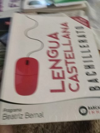 Beatriz Bernal Bachillerato. Lengua castellana