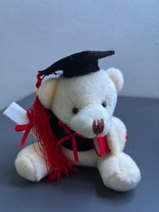 Oso graduado con diploma y llavero