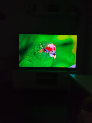 Samsung 65 QLED 4K Tizen TV