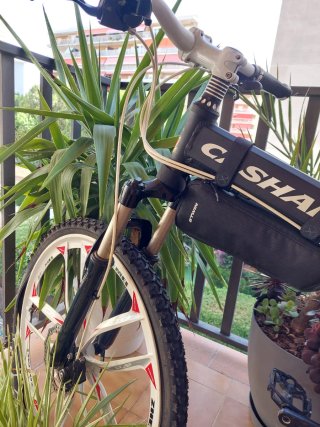 Bicicleta Plegable Mountain Bike