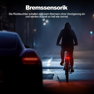 Luz LED Trasera Bicicleta LINGHUANG