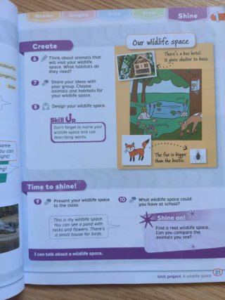 Rise & Shine 5 Pupil's Book