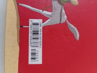 El caballero don Quijote