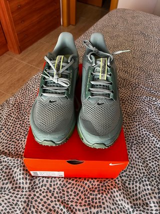 Nike Pegasus Premium Verde Talla 44,5