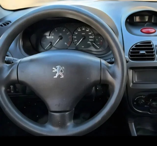 Peugeot 206 1.4 XR 2002, foto 9