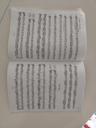 El Violín - Mathieu Crickboom