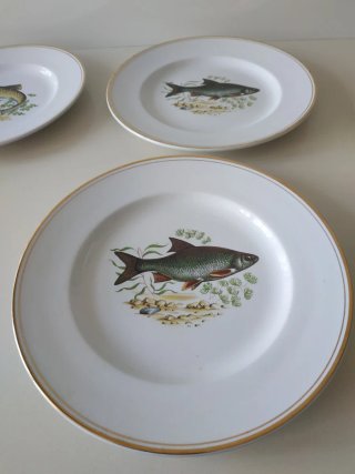Platos Vargas Segovia Porcelana