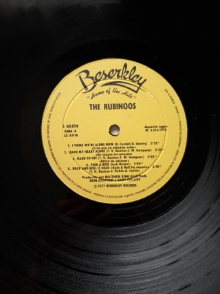 Vinilo The Rubinoos