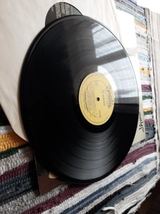 Vinilo The Rubinoos