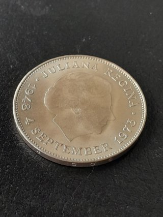 Plata 1973 Países Bajos 10 gulden juliana
