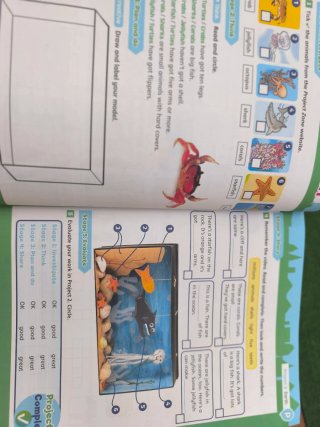 Amazing Rooftops 3. Activity Book Pack