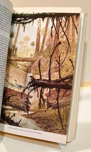 Libro El enigma de los dinosaurios