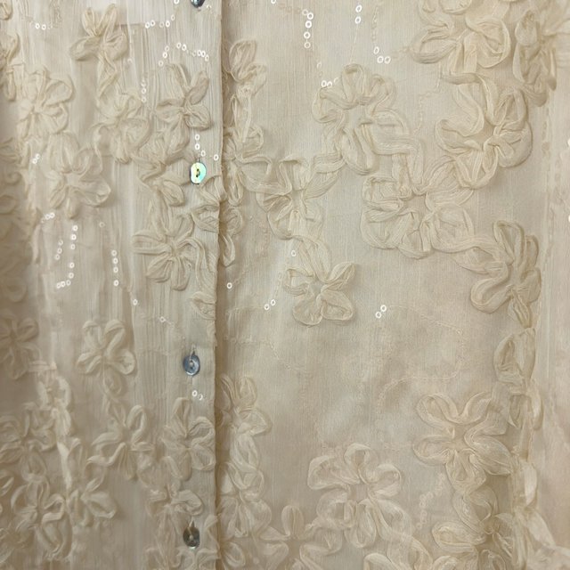 Zara Floral Lace Sequin Sheer Shirt M