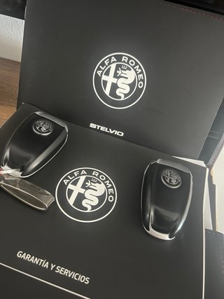Alfa Romeo Stelvio 2.2 JTDM 190 CV