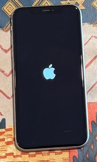 iPhone 11 bianco