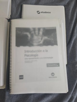 Lote criminologia Uned