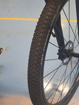 Bicicleta Eléctrica Riverside 500e talla XL