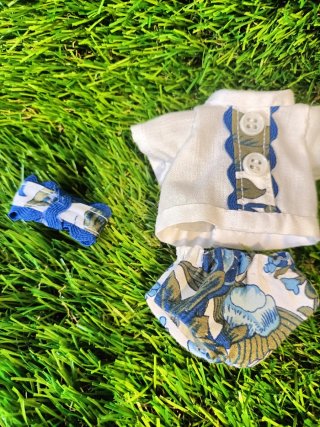 Conjunto Ropa Barriguitas