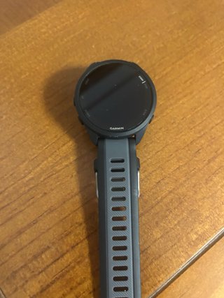 Orologio Garmin Uomo Nero/Grigio