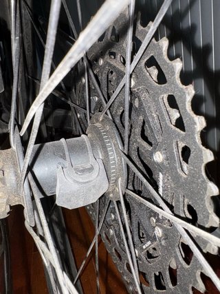 Trek Top Fuel 8 29"