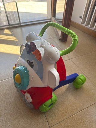 Carrello primi passi Chicco