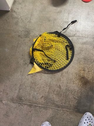 SET DI ALLENAMENTO CALCIO
