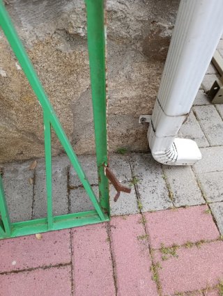 Reja de hierro verde