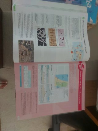 Biología y Geología : 1o ESO : Revuela