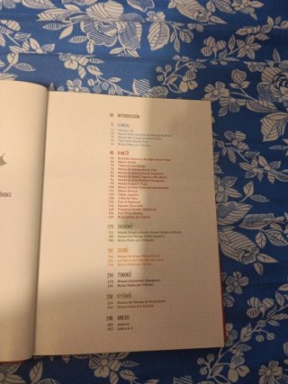 JAPÓN PARA OTAKUS: GUÍA DE MUSEOS, PARQUES TEMÁ...