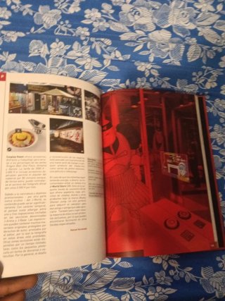 JAPÓN PARA OTAKUS: GUÍA DE MUSEOS, PARQUES TEMÁ...