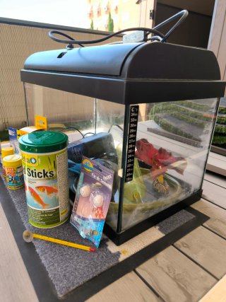 Acuario Pecera 60L con accesorios