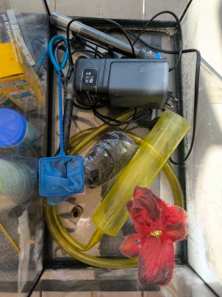 Acuario Pecera 60L con accesorios