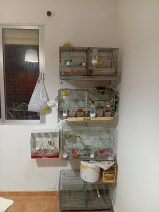 Jaulas para pájaros plateadas