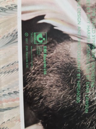 Vinilo Roy Harper Bullinaminagvase
