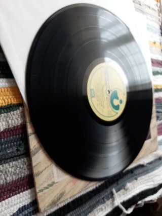 Vinilo Roy Harper Bullinaminagvase