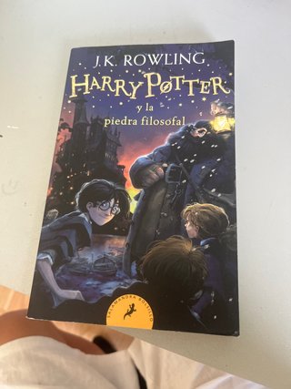 Harry Potter y la piedra filosofal (Harry Potte...
