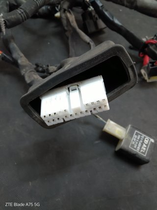 Impianto Elettrico Piaggio Liberty 50 3V C541M