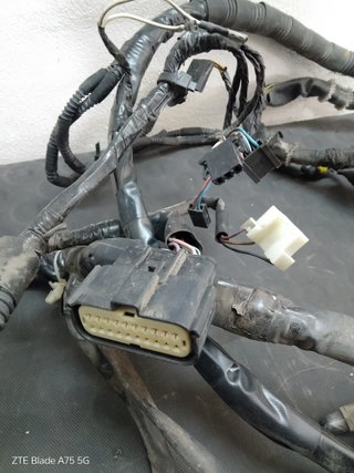 Impianto Elettrico Piaggio Liberty 50 3V C541M