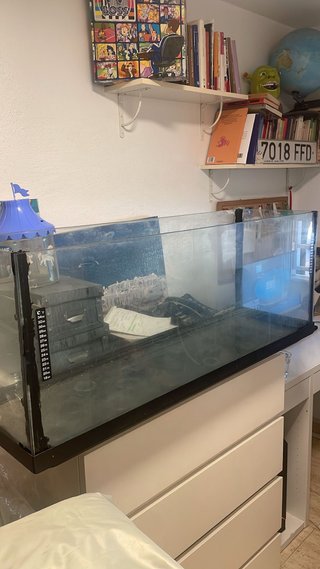 Acuario/Terrario 120L (100x30x40cm)