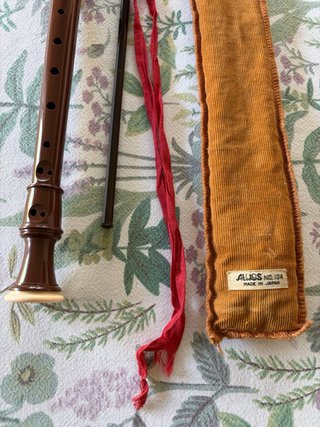 Flauto Aulos completo con custodia