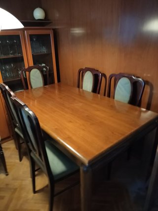 6 Sillas de Comedor Tapizadas Verdes