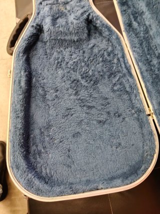 Estuche Guitarra Stratocaster/Telecaster