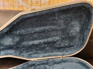 Estuche Guitarra Stratocaster/Telecaster