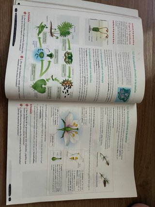 Biología y Geología 1º ESO. Libro del estudiant...