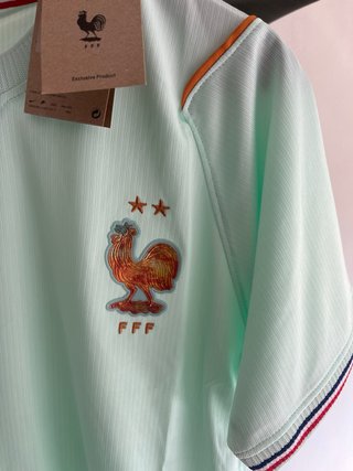 Camiseta Nike Francia Alternativa Verde