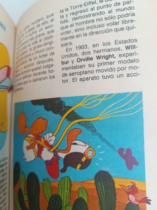 Los jóvenes castores