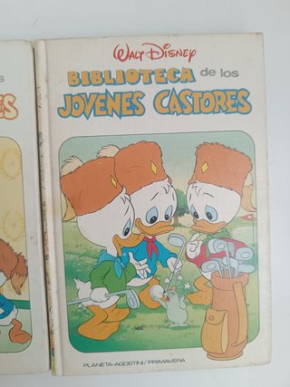 Los jóvenes castores